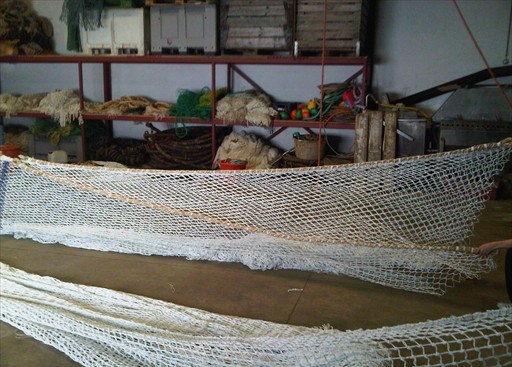 IMG00151-20110602-1226
