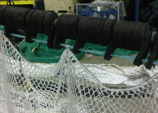 IMG00325-20110629-1230
