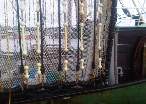 IMG00538-20110827-1532