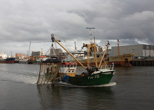 IMG_4196