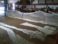 IMG00149-20110602-0954