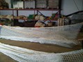 IMG00151-20110602-1226