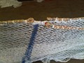 IMG00153-20110602-1226