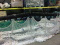 IMG00326-20110629-1231