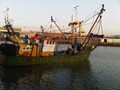 IMG00685-20111031-1640