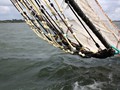 IMG_4005