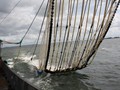 IMG_4006