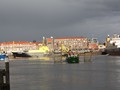 IMG_4176