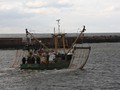 IMG_4238